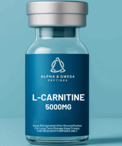 L-Carnitine 5000MG